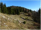 Bohinjsko sedlo - Gladki vrh (Ratitovec)